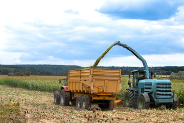 machine agricole fauchage concassage du maïs en action
