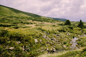 Fototapeta premium Foggy landscape near Blyznytsya mountain in the Carpathian mountains