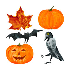 halloween set isolated on a white background. watercolor pumpkins, crow, maple autumn leaf