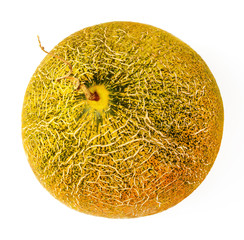 Ripe fresh melon on a white isolated background. Close-up. Top view.
