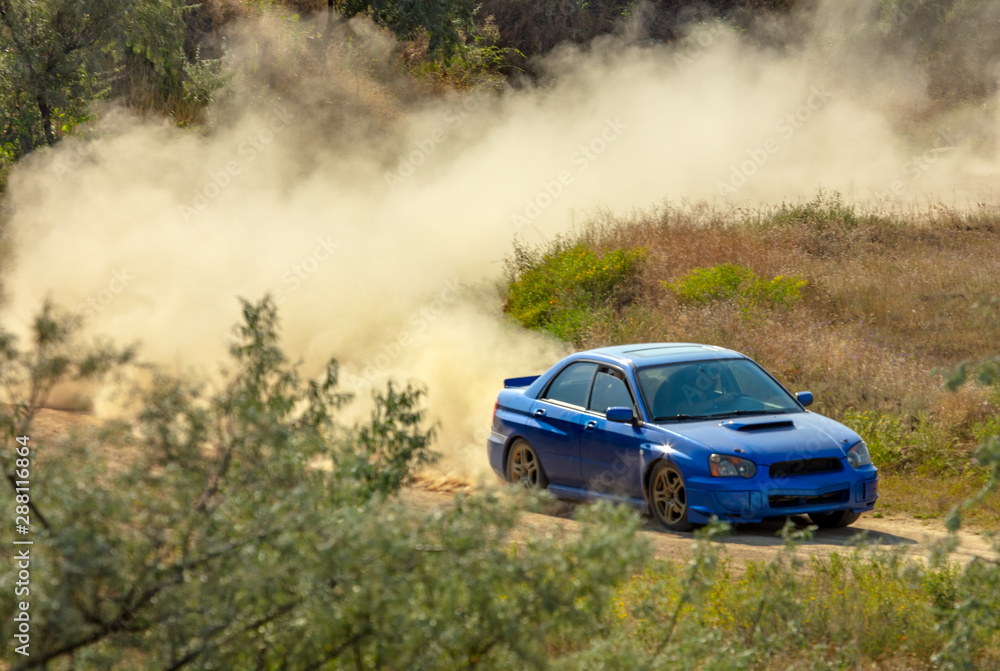 Wall mural Sports Car on a Bend and a lot of Dust 06