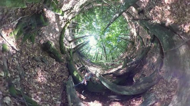 M&auml;dchen sitzt alleine auf Baumstamm, Waldwellness, Little planet effekt, VR, VR360, 360VR