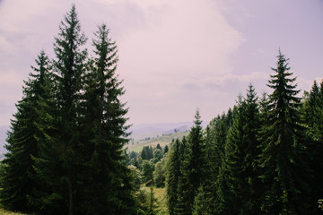 Romantik landscape in the mountain village in the Hutsul region Dovhopillya