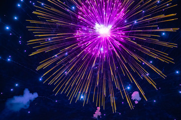 Multicolor firework in the night sky