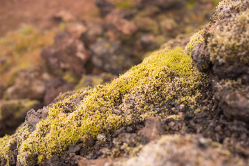 Exotic landscape in the geothermal valley Leirhnjukur. Myvatn region, North part of Iceland, Europe.