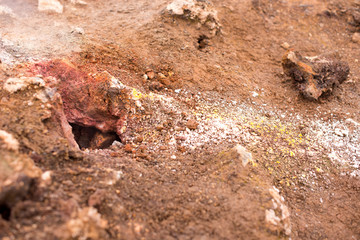 Fototapeta premium Exotic landscape in the geothermal valley Leirhnjukur. Myvatn region, North part of Iceland, Europe.