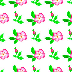 Wild roses watercolor seamless pattern. Flowers, leaves. Floral background. Fabric design, wallpaper
