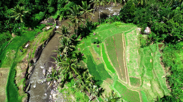 Beautiful view of Ayung River and rice terraces, Ubud, Bali.