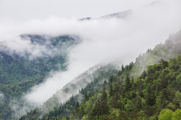 Nebel am Berghang in den Pyrenäen