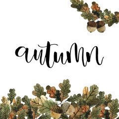 acorns on a branch with oak leaves, autumn watercolor