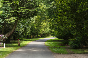 Pathway in a garden park, spring season