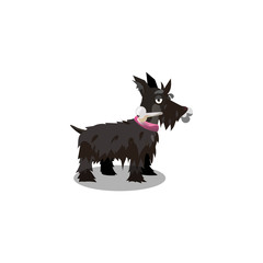 Scotch terrier dog. Raster illustration in flat cartoon style