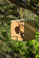 Hut and feeder for wild birds. With food for birds.