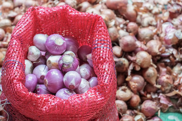 Pack of red onions, red onions in a burlap bag