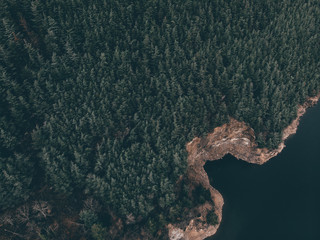 lake and forest from above