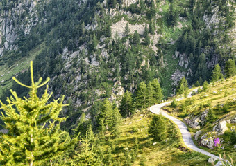 View on a mountain road