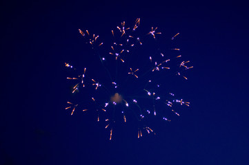 Fireworks in Summer