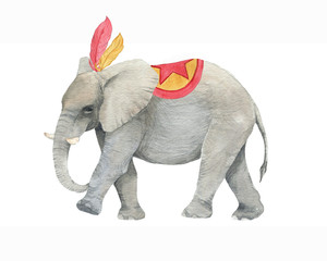 Hand drawn watercolor circus elephant in costume. Isolated animal drawing for card, banner template, flyer, advertisement