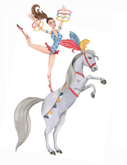 Hand drawn watercolor circus girl acrobat on the white horse. Circus stunt, bright performance. Isolated drawing © anastasianio