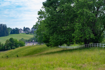 Grassy Pasture with Board Fence
