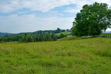 Grassy Pasture with Board Fence