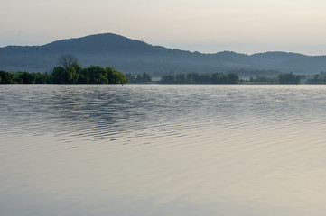 Morning Mist Rising