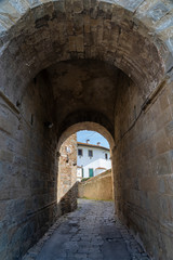 Fototapeta na wymiar Montevettolini, historic town in Chianti