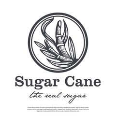 Cane tree vector logo with vintage style