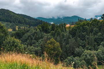 Fototapeta na wymiar Carpathian mountains summer landscape with blue sky and fog, nature background
