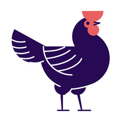 Rooster flat vector illustration. Dark blue cock isolated on white background. Poultry farm, hennery cartoon logo.  Domestic bird breeding, chicken meat production design element with outline