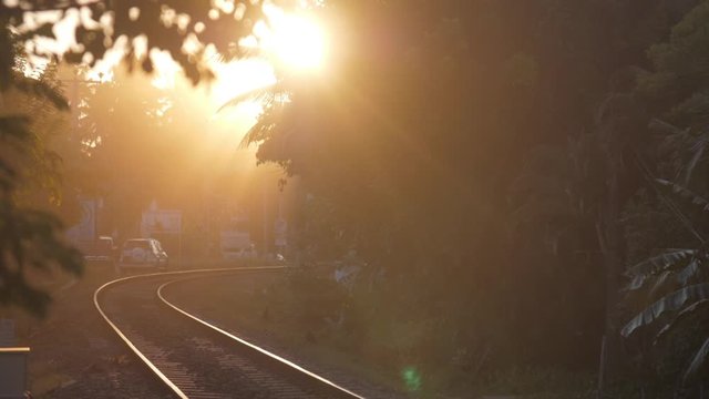 empty railway at lush green palm trees against city street with driving cars at bright sunset light slow motion. Concept exotic travel