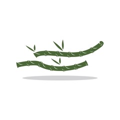Bamboo with green leaf logo