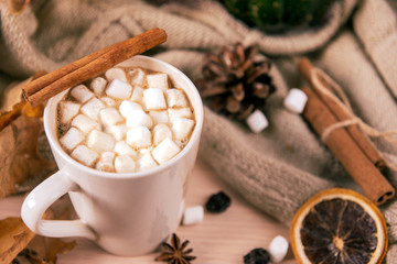 Fototapeta na wymiar 1 mug of hot chocolate with marshmallow and cinnamon stick, knitted sweater, dried orange slice, autumn,