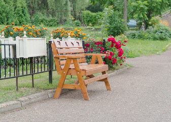 wooden bench in the Park by the path