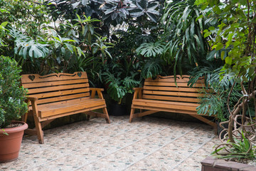 Obraz premium bench in the Botanical greenhouse. tropical decorative orangery