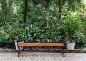 Fototapeta premium bench in the Botanical greenhouse. tropical decorative orangery