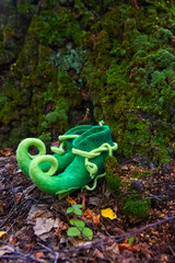Fairy creature elf or dwarf will leave his shoes near the entrance to his house in an old, moss-covered tree.