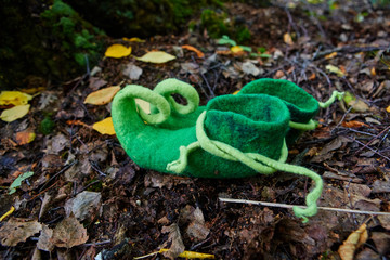 Fairy creature elf or dwarf will leave his shoes near the entrance to his house in an old,...