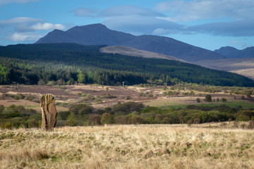 machrie moor standing stones in arran