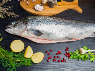 Salmon fish. Raw salmon fish whole with ingredients for cookings on black wooden table. Top view