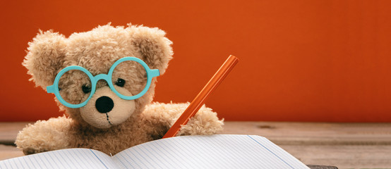 Cute teddy wearing glasses doing homework, banner