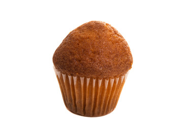 cupcake isolated