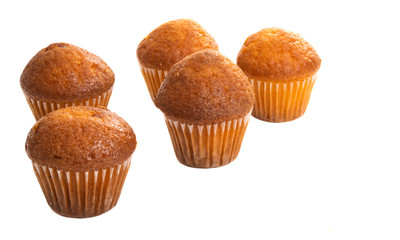 cupcake isolated