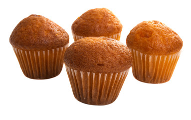 cupcake isolated