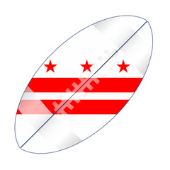 Washington DC State USA Football Flag