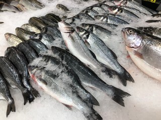 fresh fish on ice