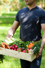 Strong farmer man in dark clothes is holding in his hands wooden case with ripe autumn vegetables. Carrot with tops, pink radish, red pepper, squash, cucumber, onion. Green background, Russia, Moscow