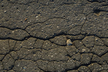 cracks in the asphalt