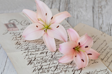 Obraz na płótnie Canvas Pink Lily Flowers On Old Document