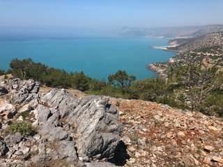 Rocks, pine trees on the slope and picturesque sea coastline